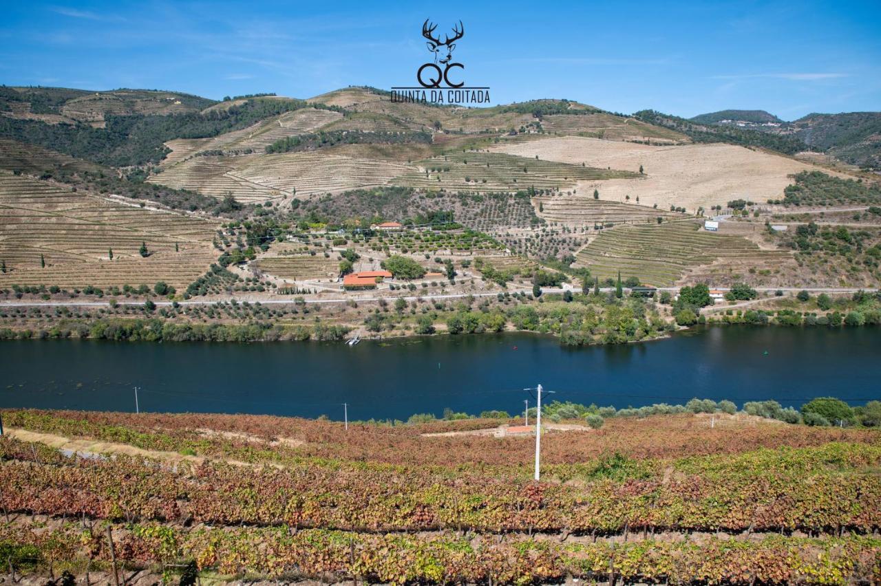 Quinta Da Coitada - Alojamento Local Soutelo do Douro Eksteriør bilde